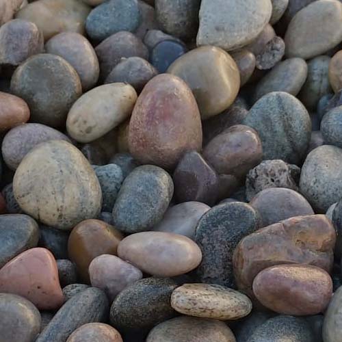 Scottish beech pebble